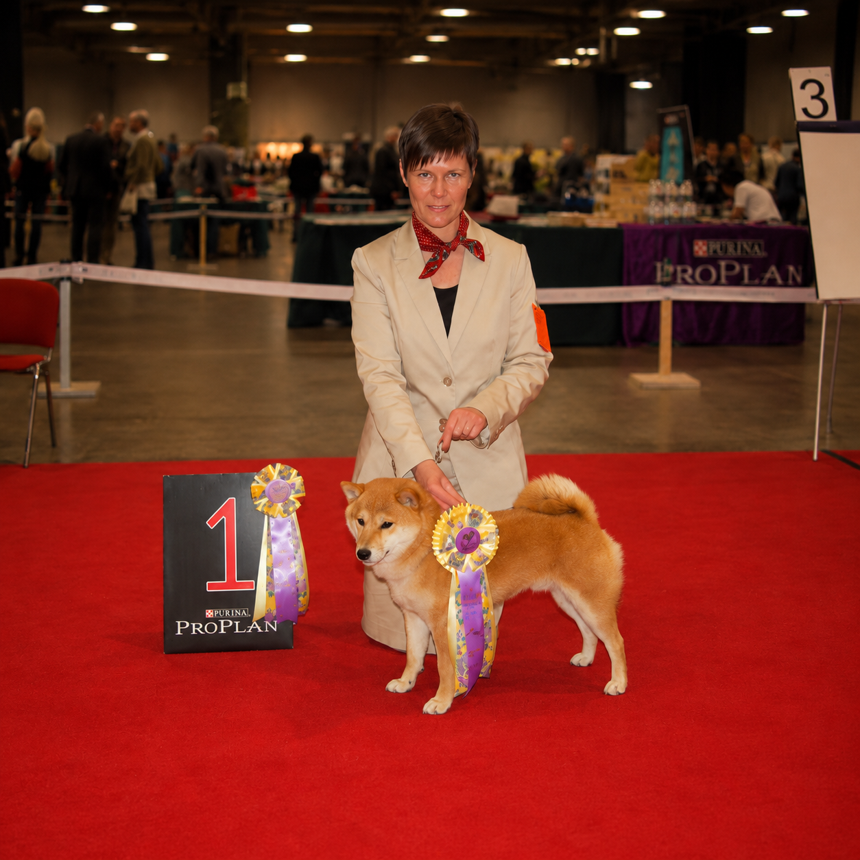 Hundeführerin mit ausgezeichnetem Hund im Ausstellungsring