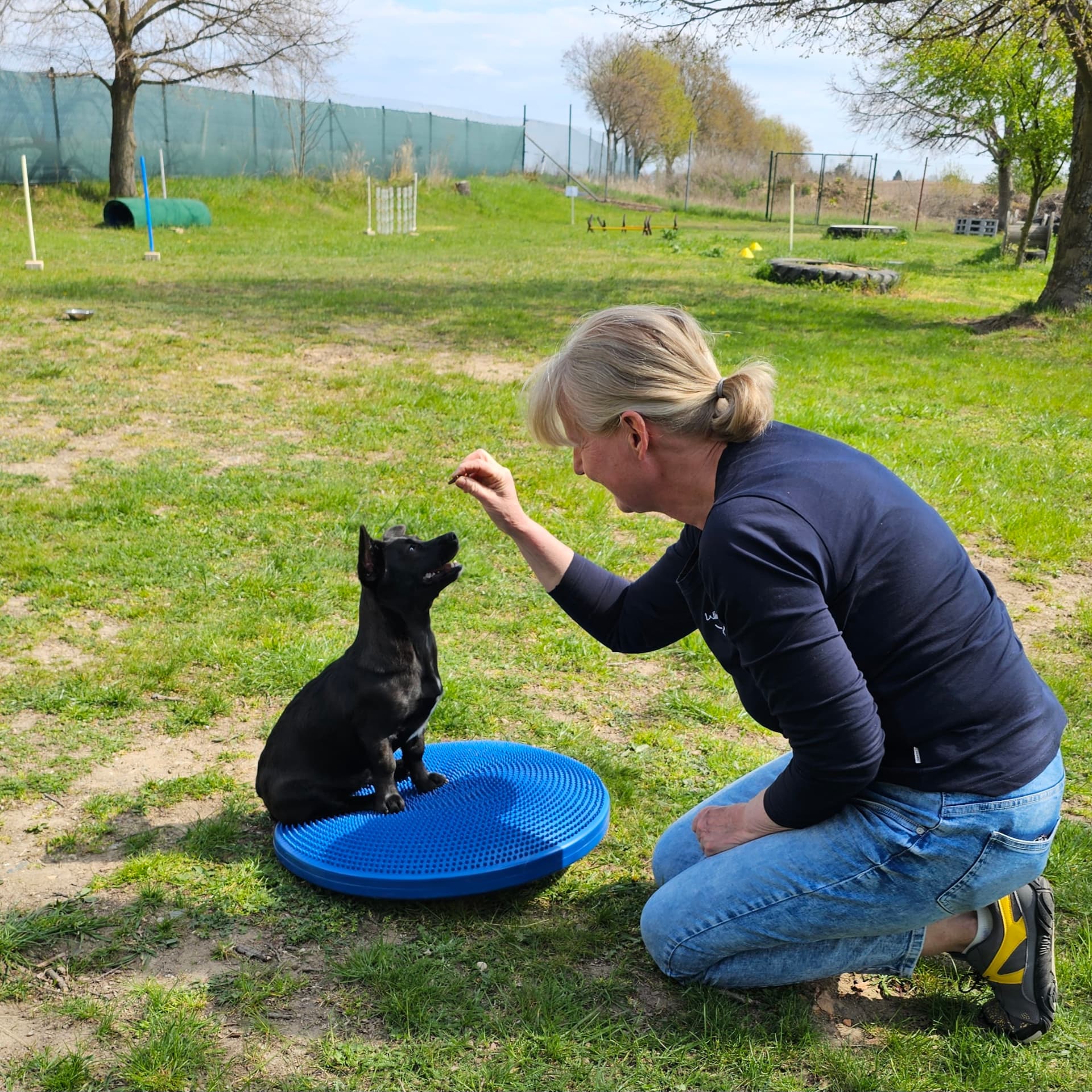 Balancetraining mit kleinem Hund auf dem Ballkissen