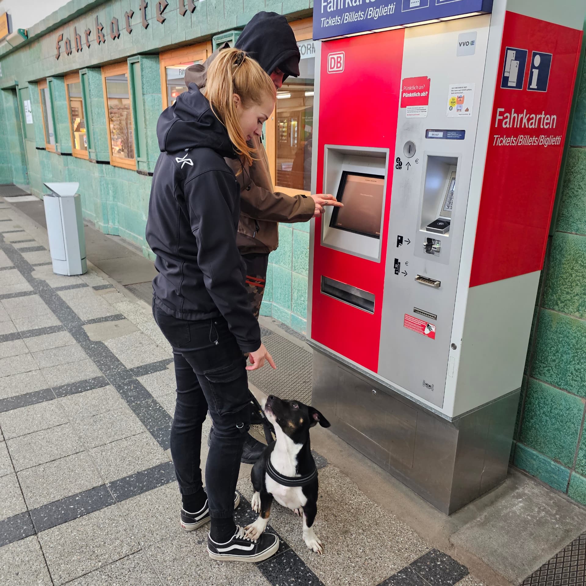 Hund am Fahrkartenautomaten im Meißner Bahnhof