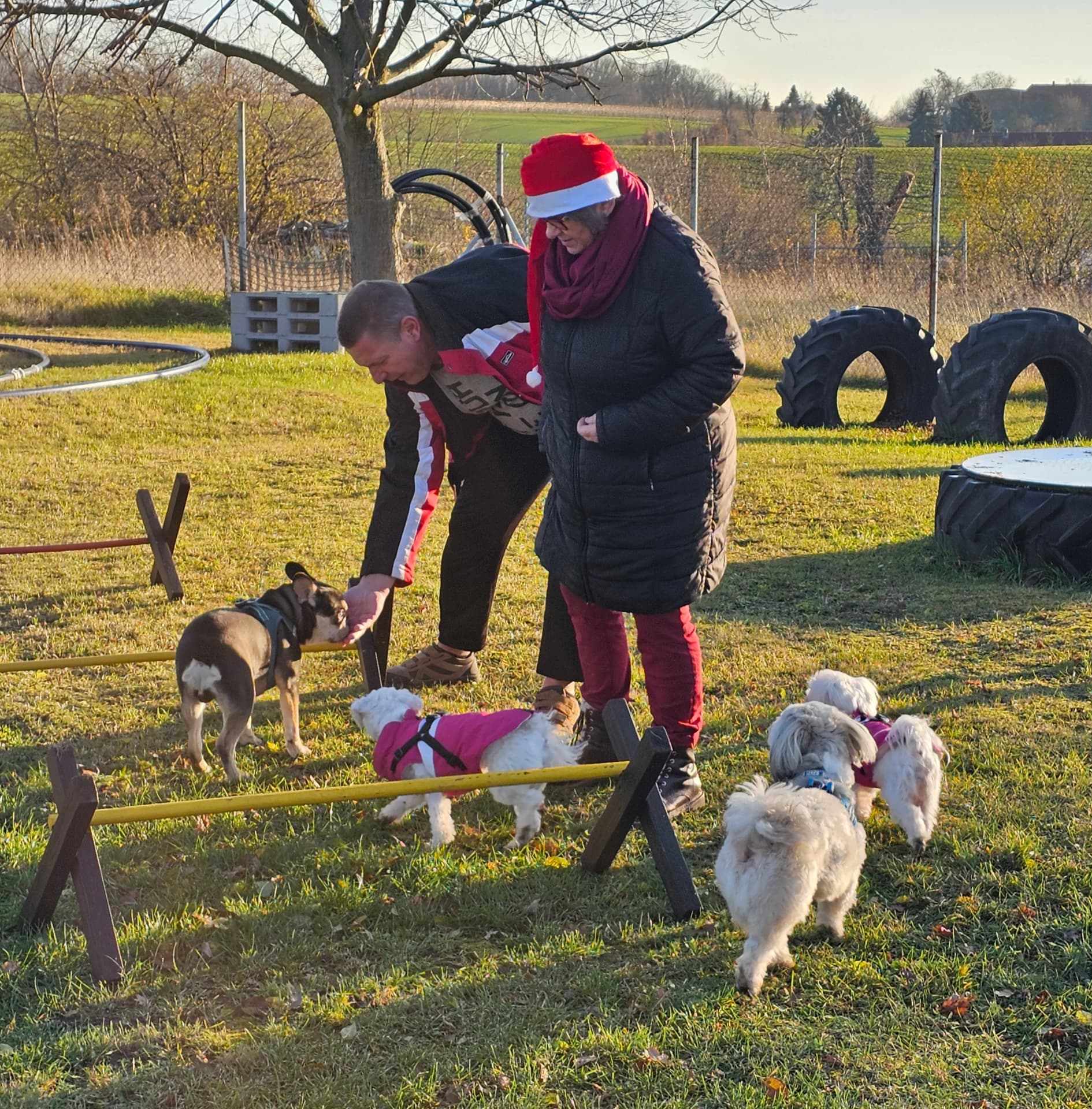 Mini-Club-Gruppe beim gemeinsamen Parcours auf dem Hundeplatz