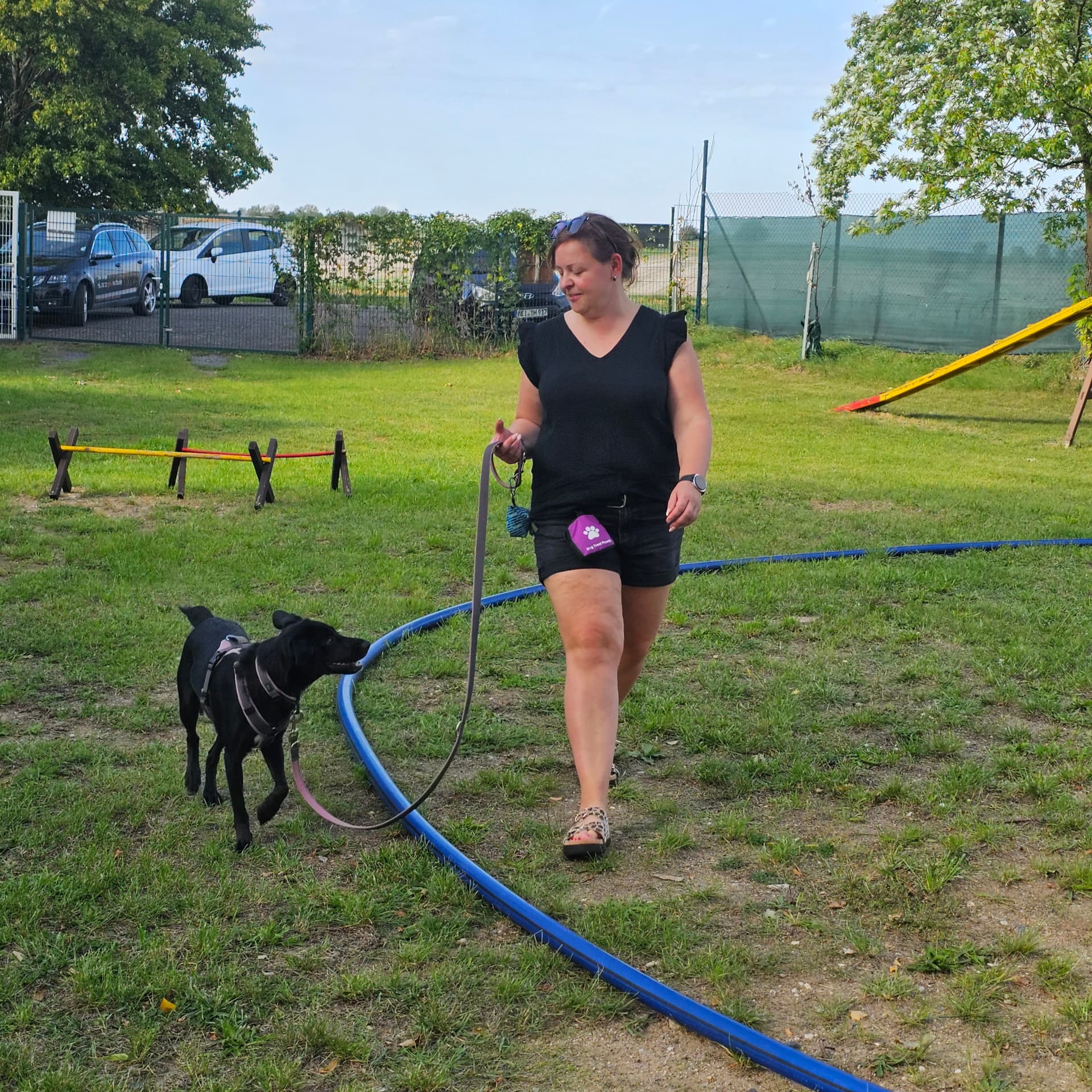 Hundeführerin longiert ihren Hund über den Hindernisparcours