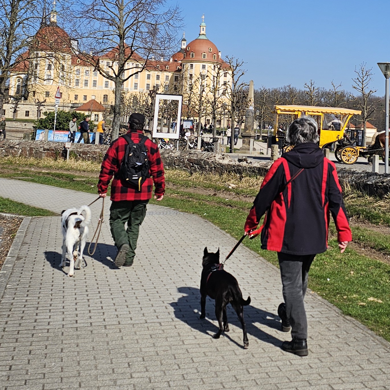 Spaziergang mit Hunden vor Schloss Moritzburg
