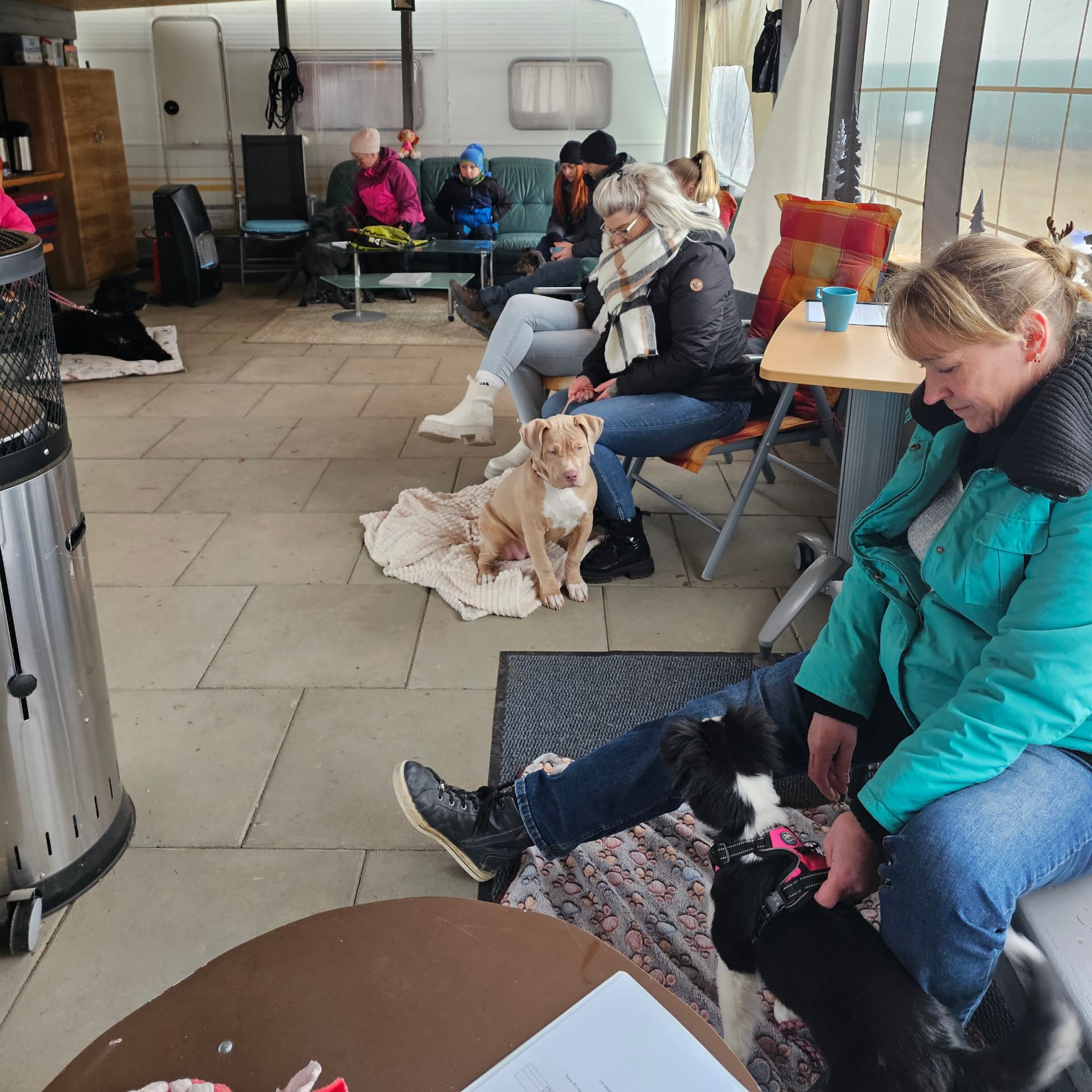 Ruhepause mit den Hunden im geschützten Pavillon
