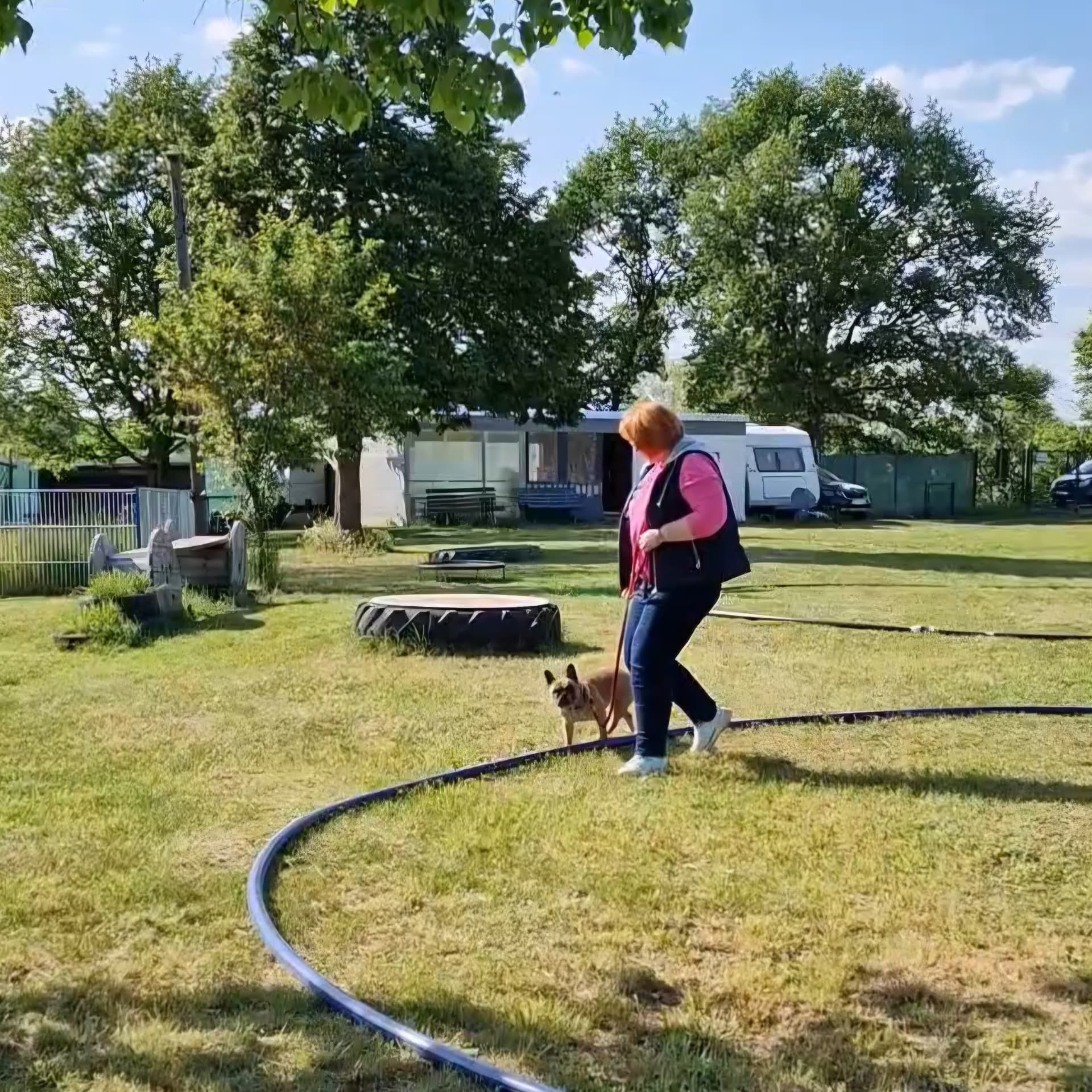 Longieren mit einem kleinen Hund