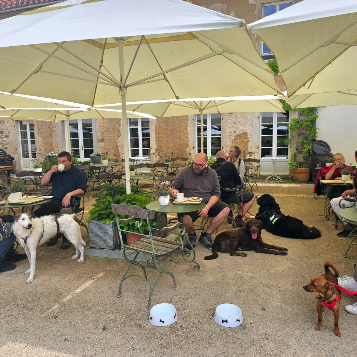 Entspannte Einkehr im Café mit den Hunden
