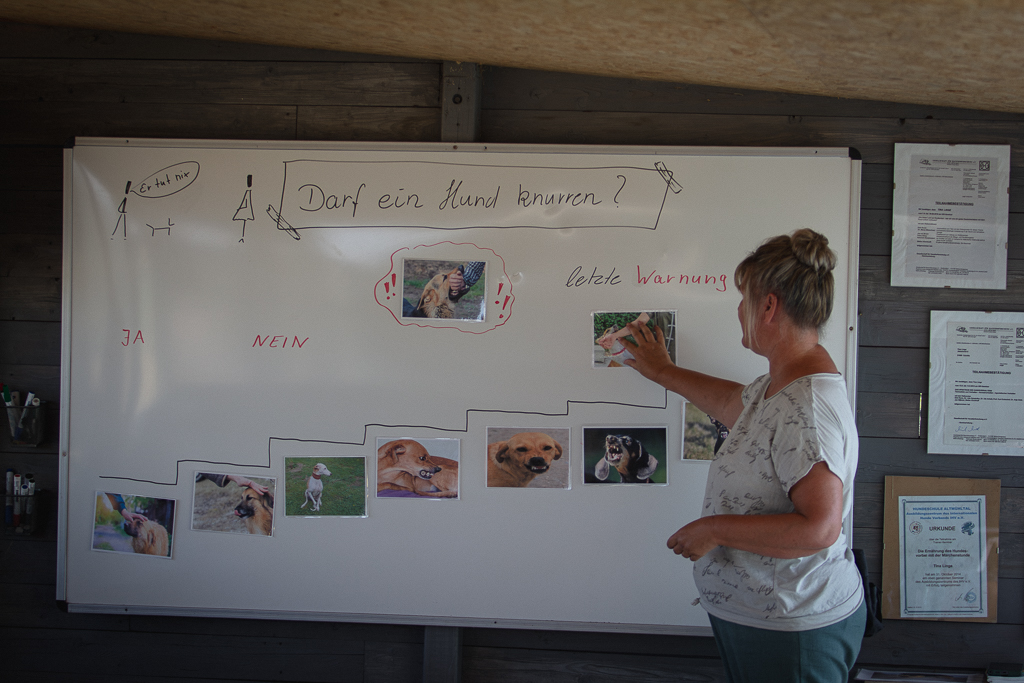 Theorieeinheit am Whiteboard: Darf ein Hund knurren?