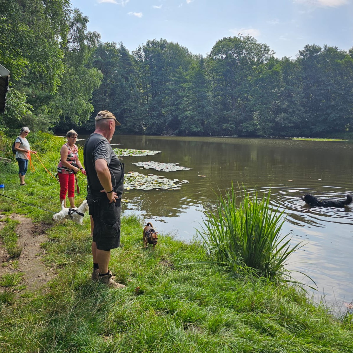 Pause am Teich mit den Hunden