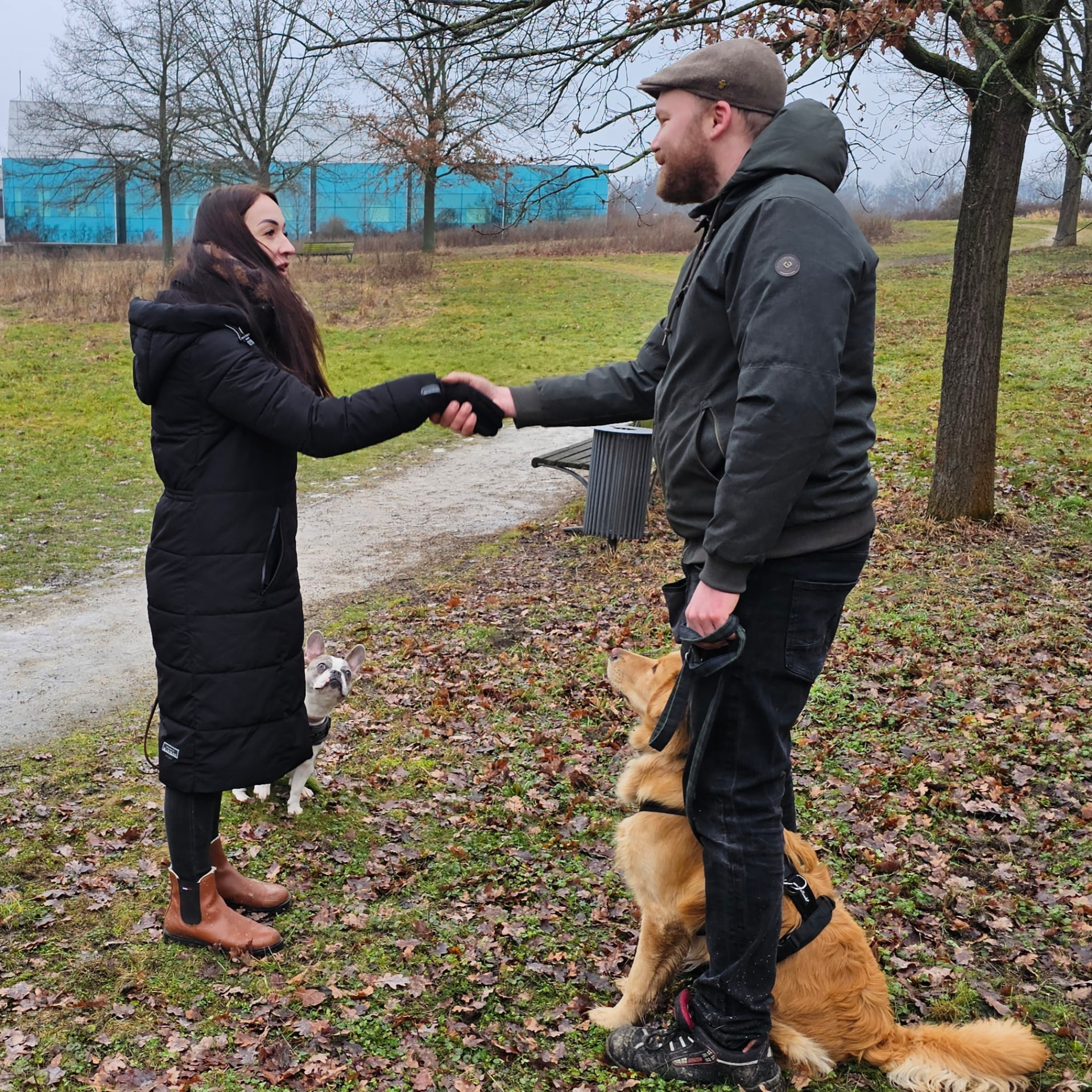 Ruhige Hundebegegnung beim Spaziergang im Park