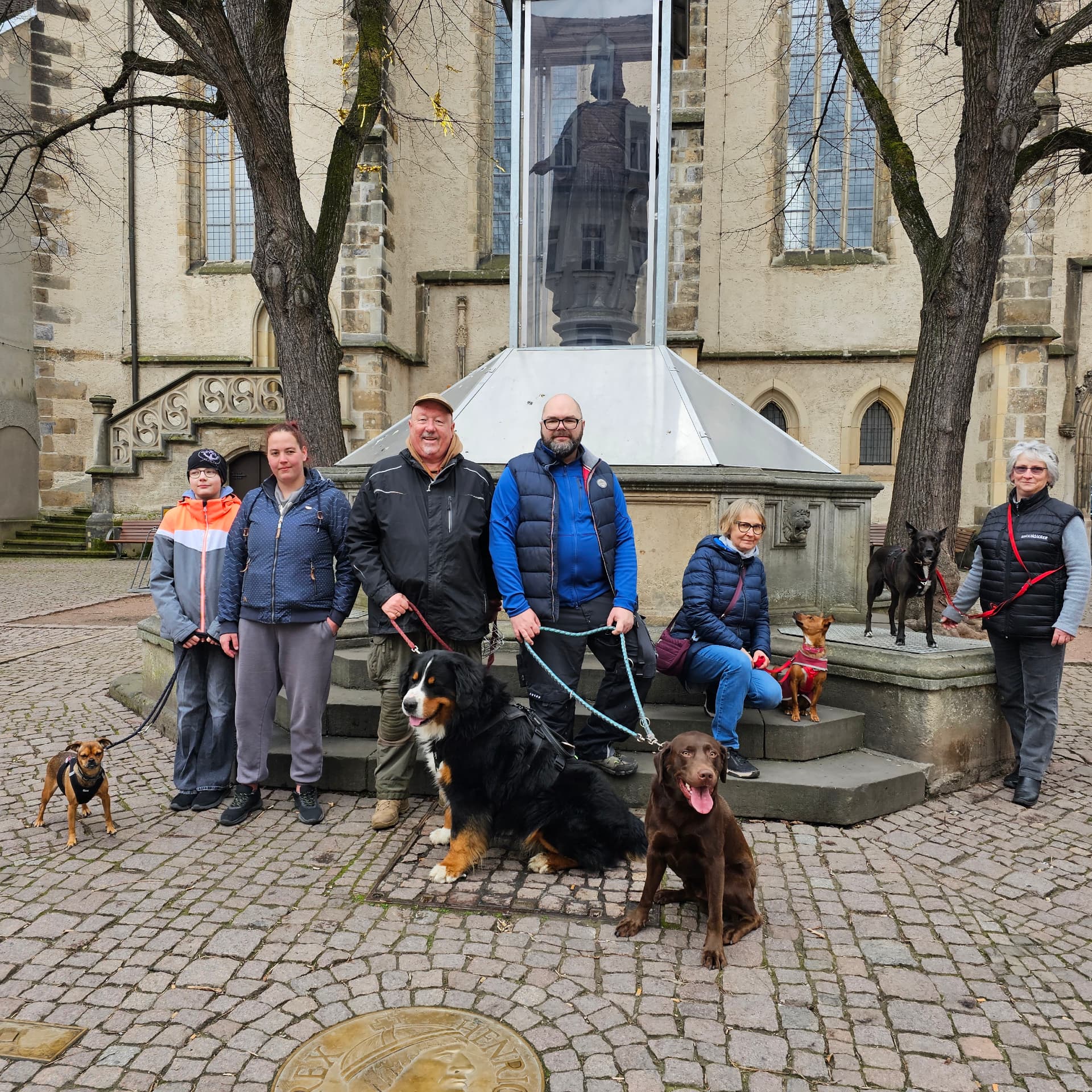 Junghundkurs-Gruppe mit Hunden in der Meißner Innenstadt