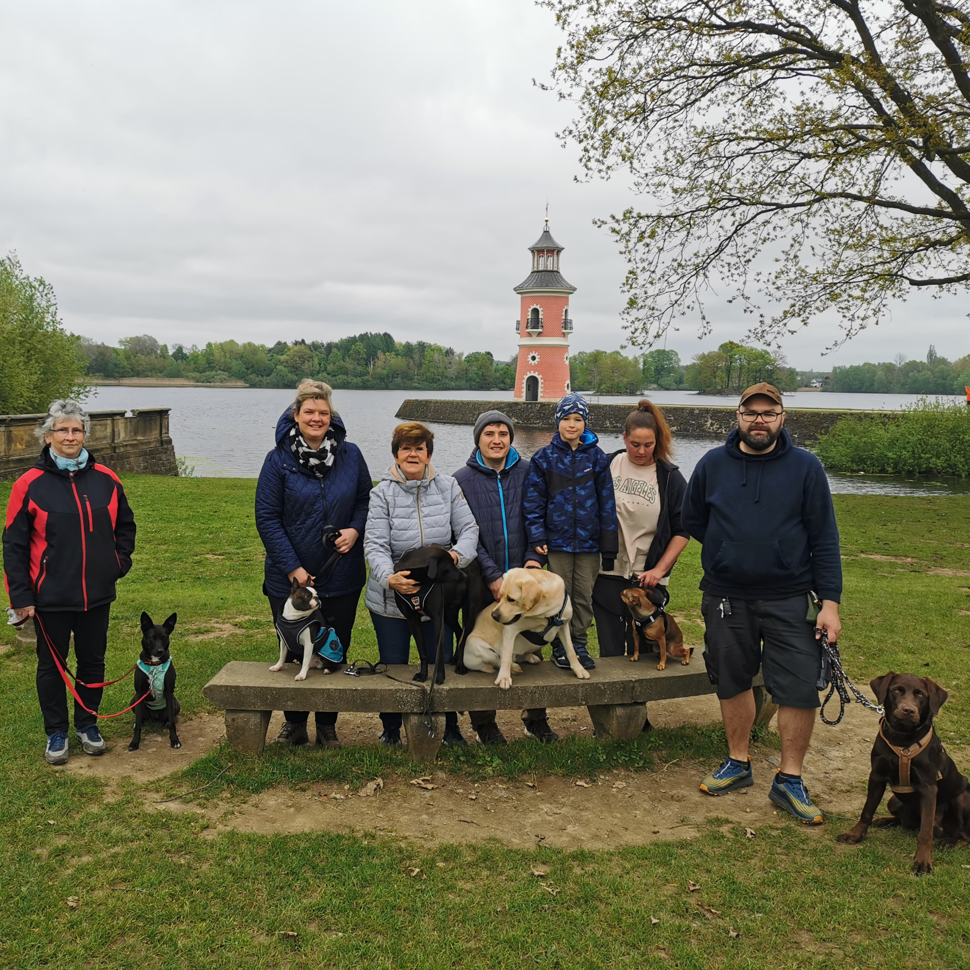 Teilnehmerinnen und Teilnehmer mit ihren Hunden beim Social Walk