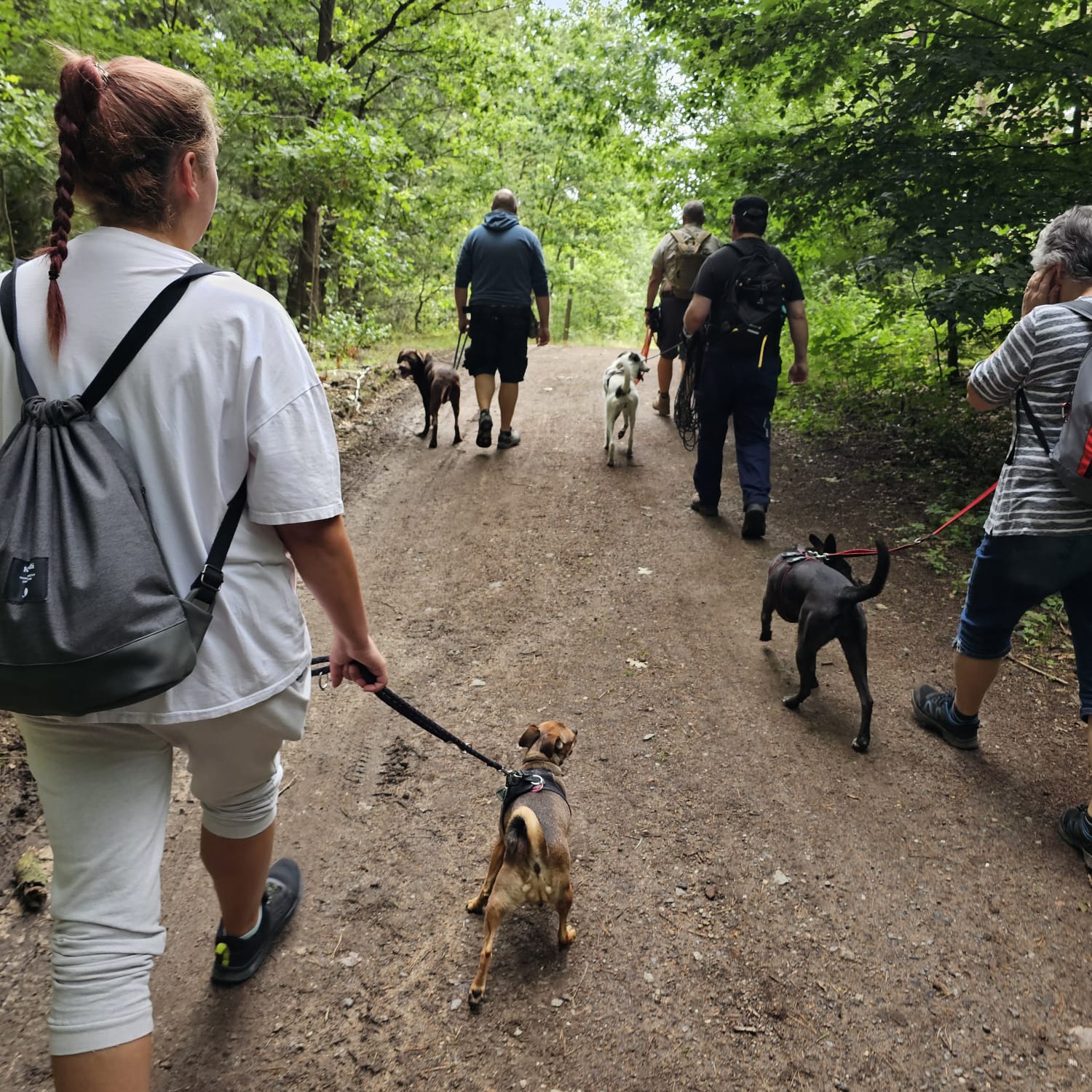 Gemeinsamer Spaziergang auf einem Waldweg