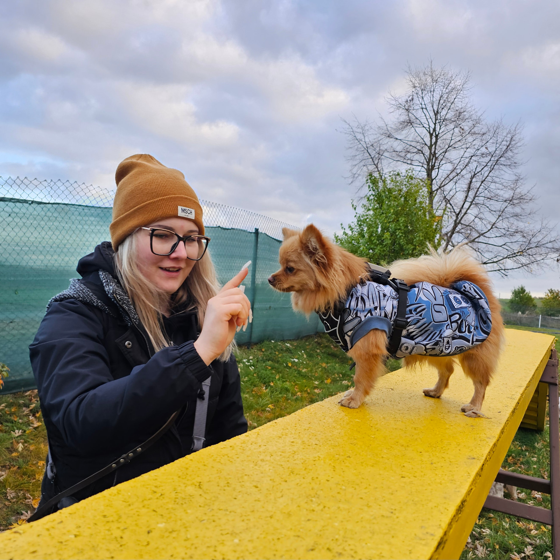 Kleiner Hund balanciert über den gelben Steg