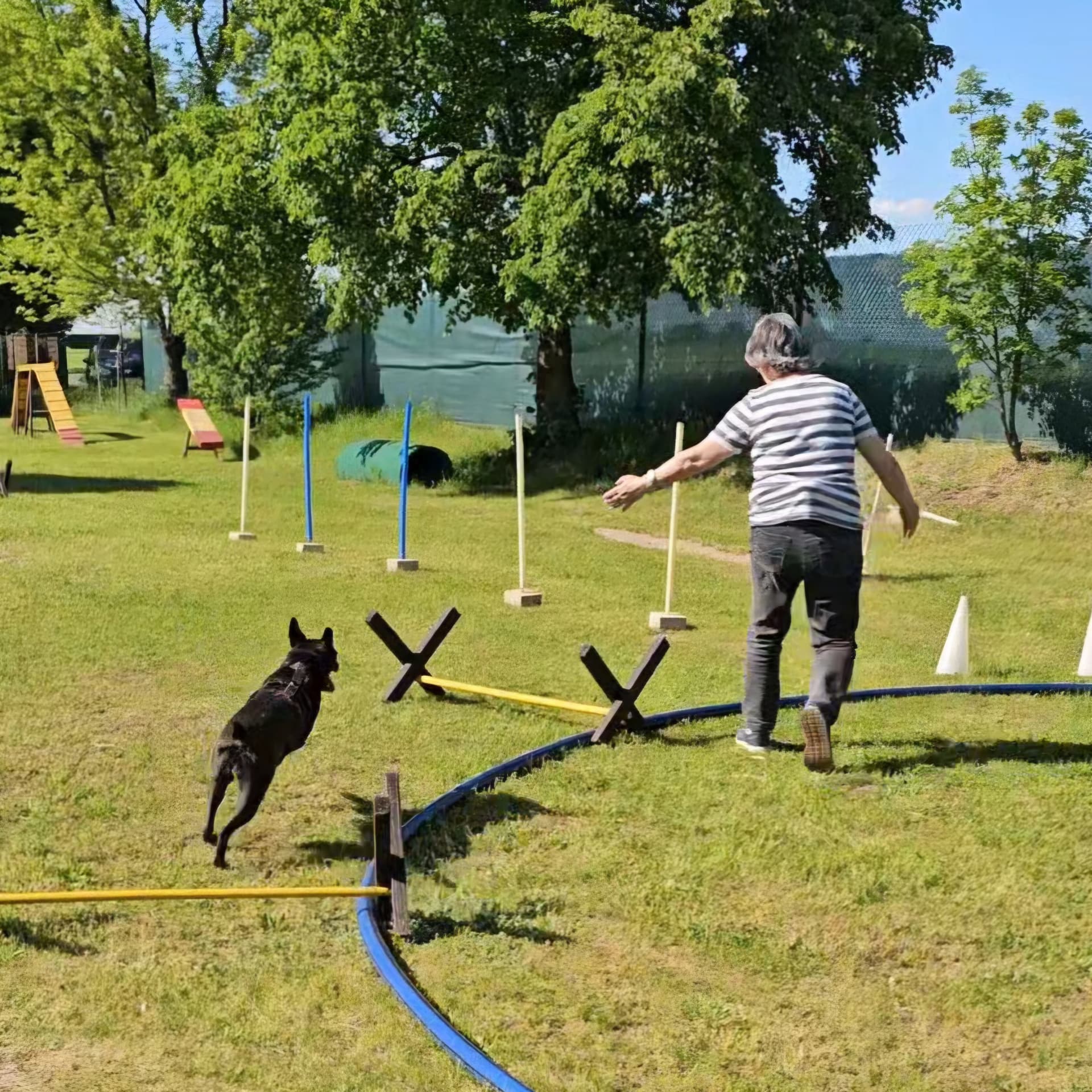 Hund und Hundeführerin beim Longieren